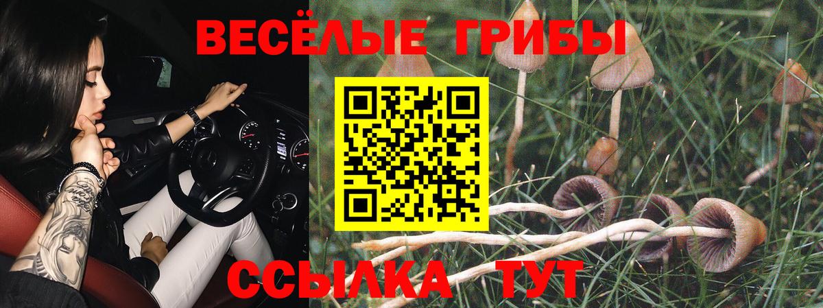 Дзержинск  Псилоцибиновые грибы Psilocybine cubensis  Псилоцибиновые грибы мухоморы  цена   Вход с VPN 